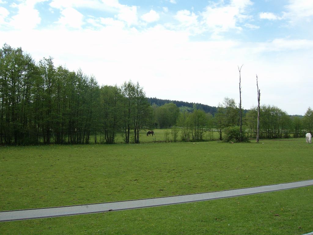 Ferienwohnung Neureuth Schillingsfürst Εξωτερικό φωτογραφία